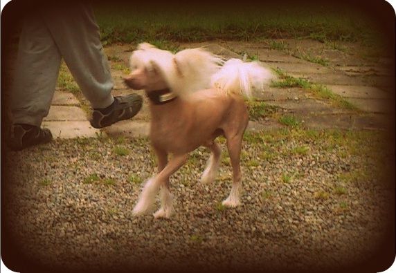 Cute and Crazy Lucas