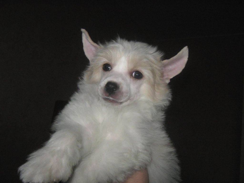 Bartolom'yu Blagorodnii  