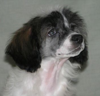 Elfgrace Isidora Dunkan