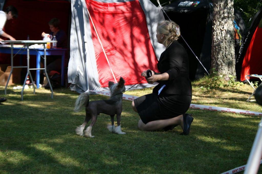 Absolute Crystal by Little Jade