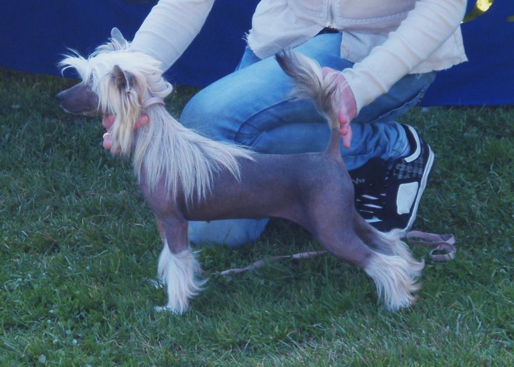 Dolcissima Gemma