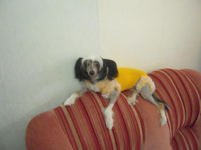 Sharman Zhustina Nevelina