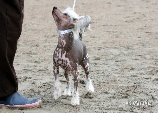 Tulimyrskyn Nakunaku