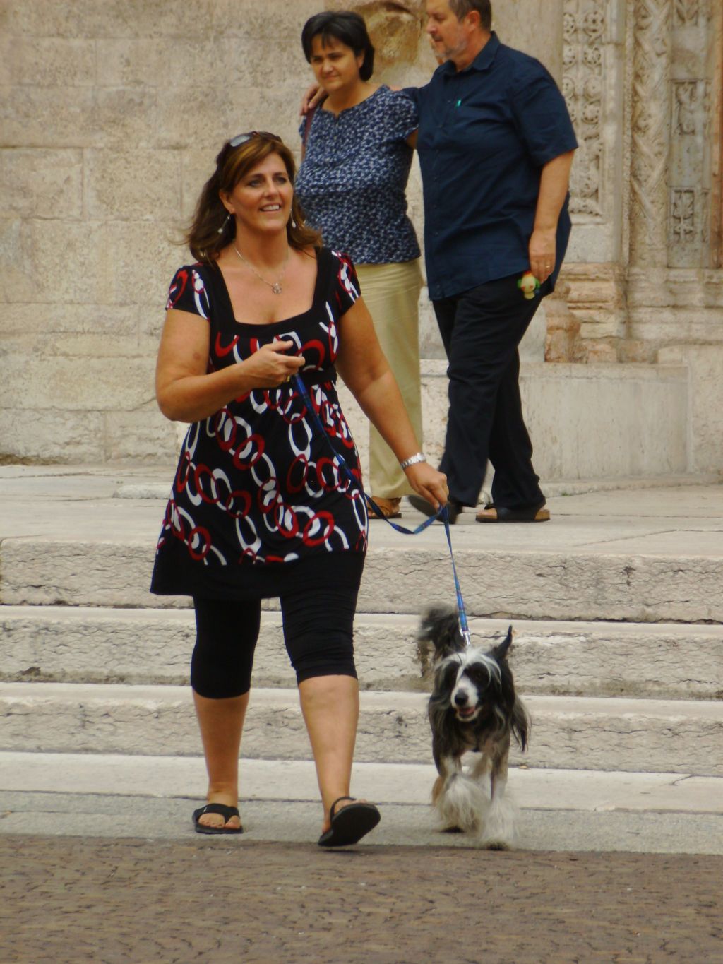 Golden Diamond Cresteds Farrera