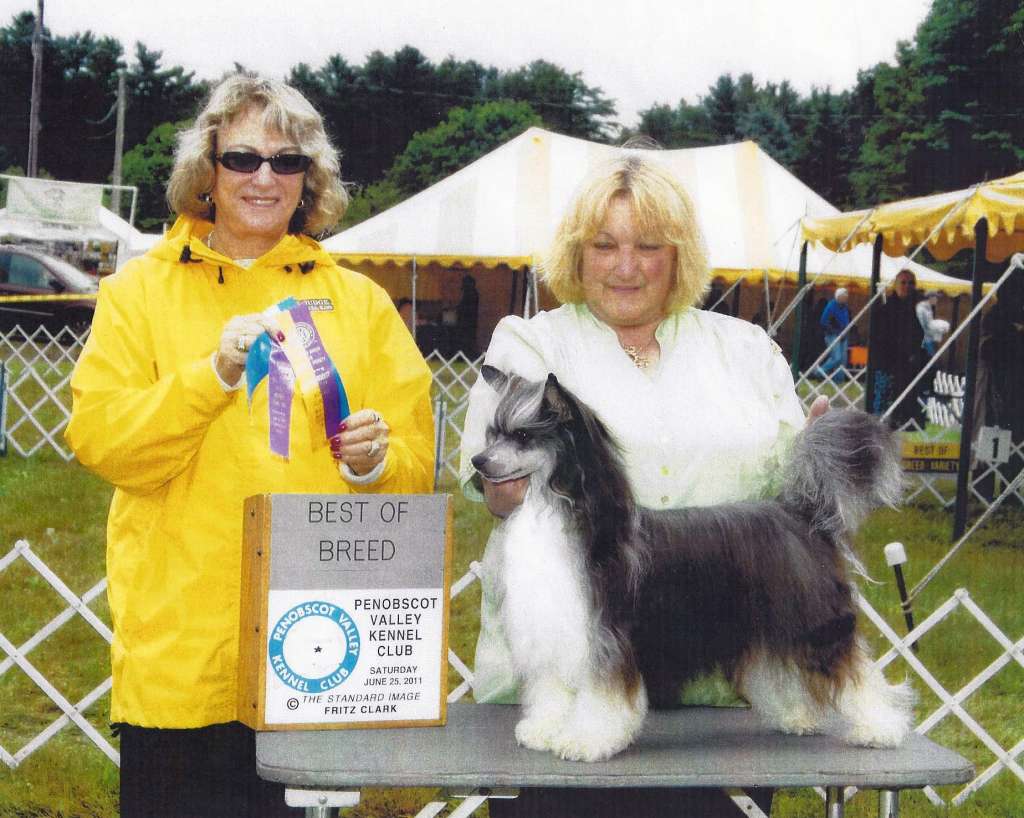 Talisman's Going To Steal Your Heart