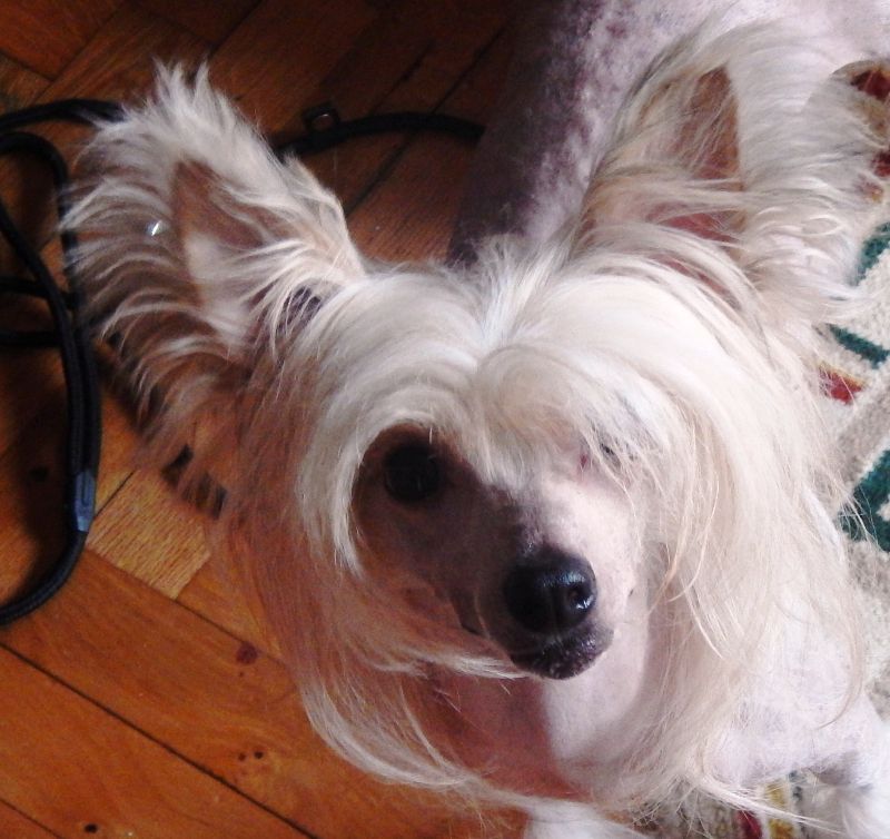 Daylight of Deliana Di Rabozi