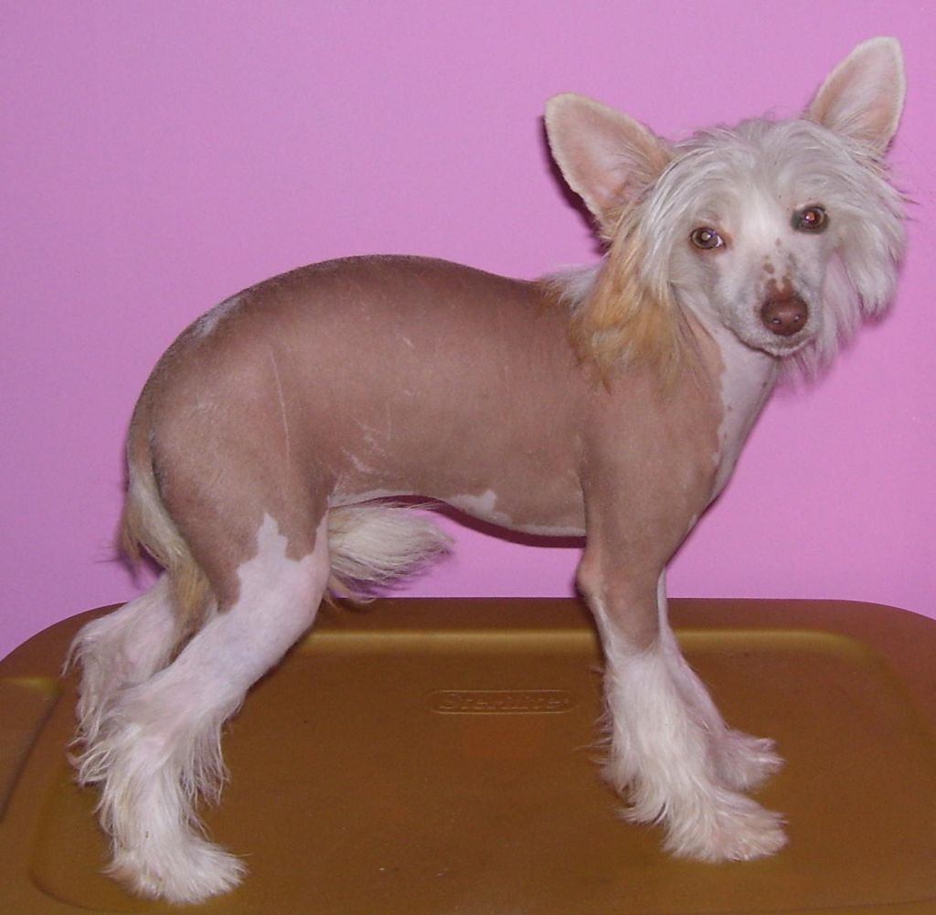 Kunoki Thank U4 T'Music @ Lyric Town