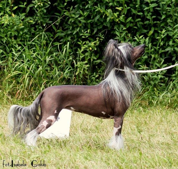 Bajkowa Ksiezniczka Innowacja