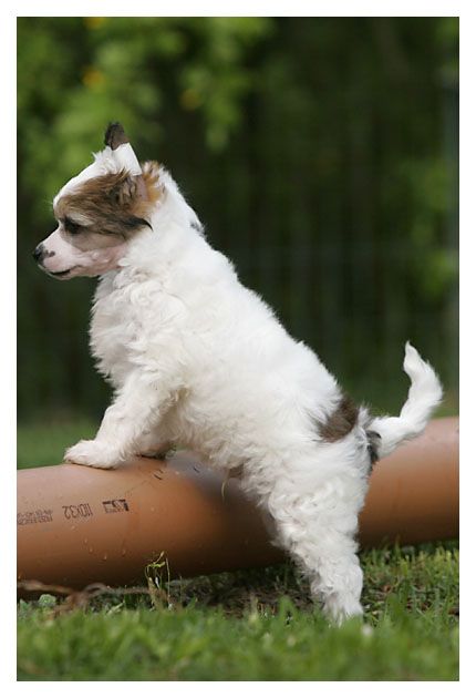 Gou's Keeper Of The Key