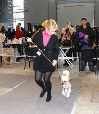 Olegro Katrin Vindzor Silver Tauer