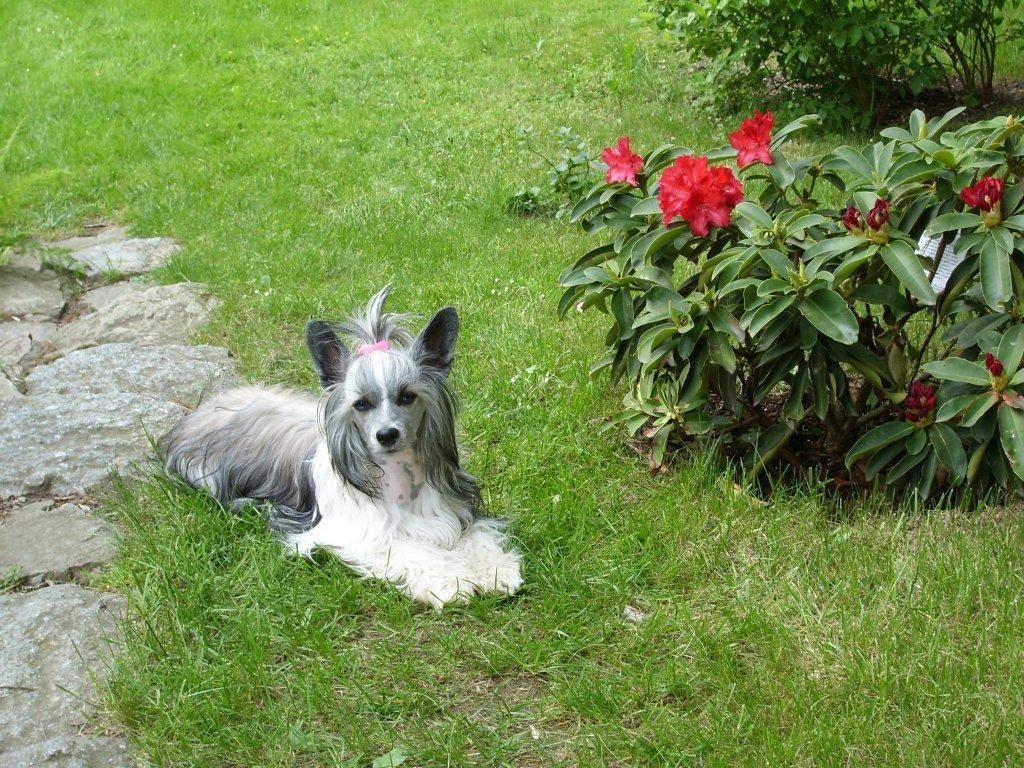 Aqua Viva Santa la Vida