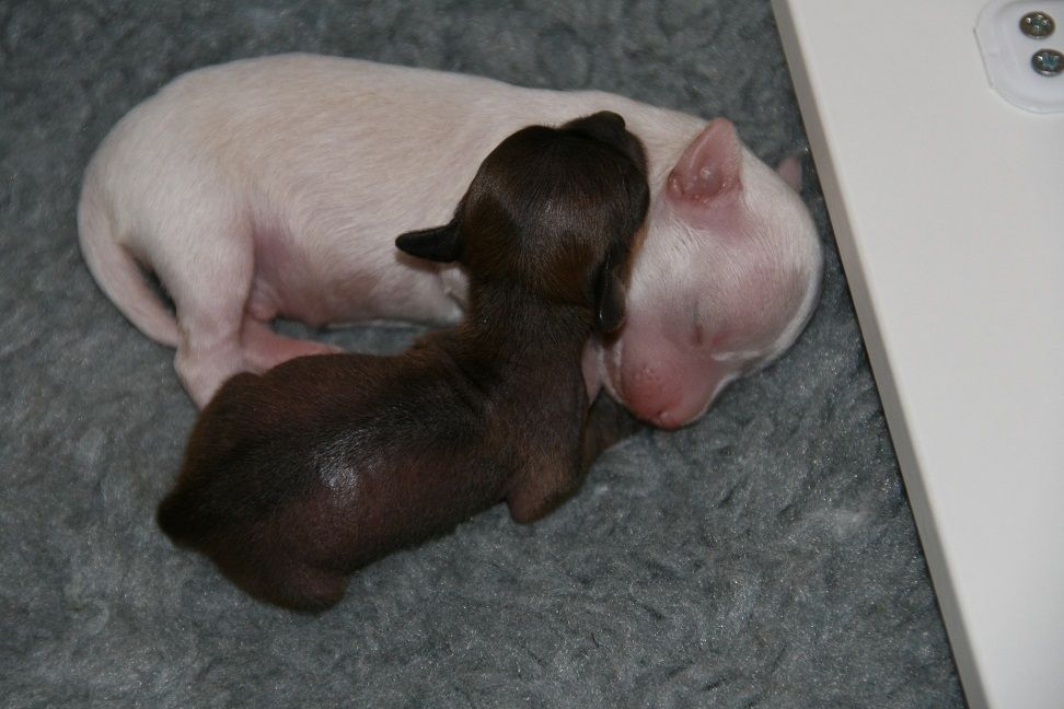 Chattanooga's Key To My Heart