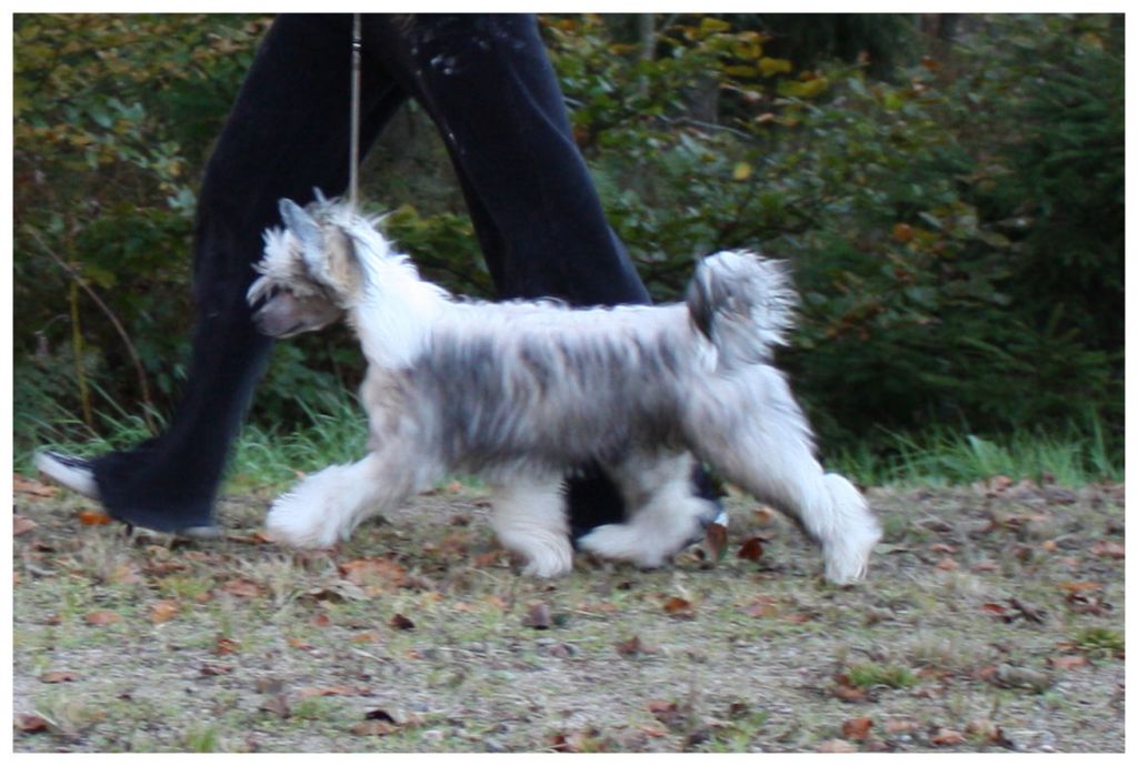 Inya Dreams Just Keepin' It Real