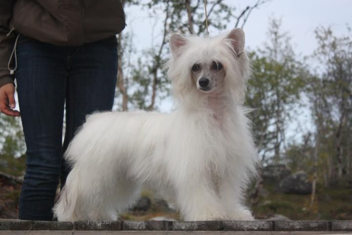 Twice as Nice Take A Chance On Me