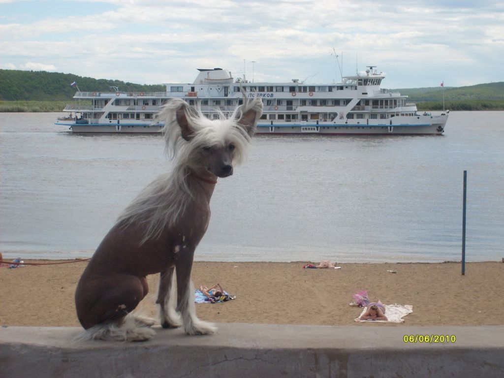 Tomila Princessa Zvezd