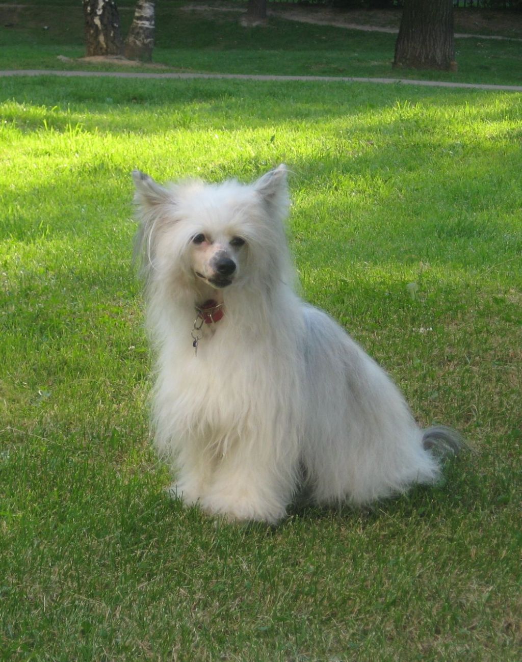 Kado Kitaiski Potselui ShowF Lake