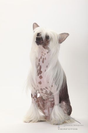 Hilary Little Champs