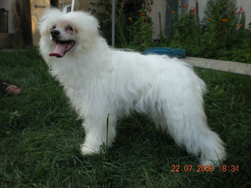 Bi-lav Plus Hoziayka Fortuni