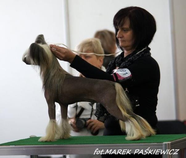 Alfa Laval Casting On Time