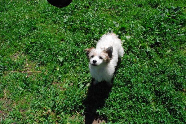 Quite All Right Epocha