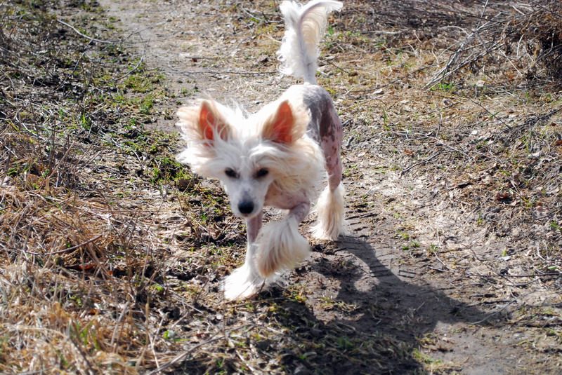 Quite Sure Boy Epocha