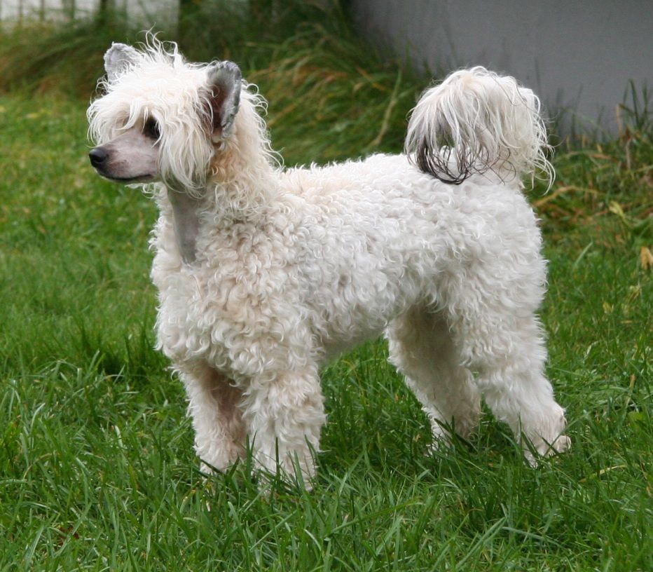 Absolute Souls Don't Stop Me Now