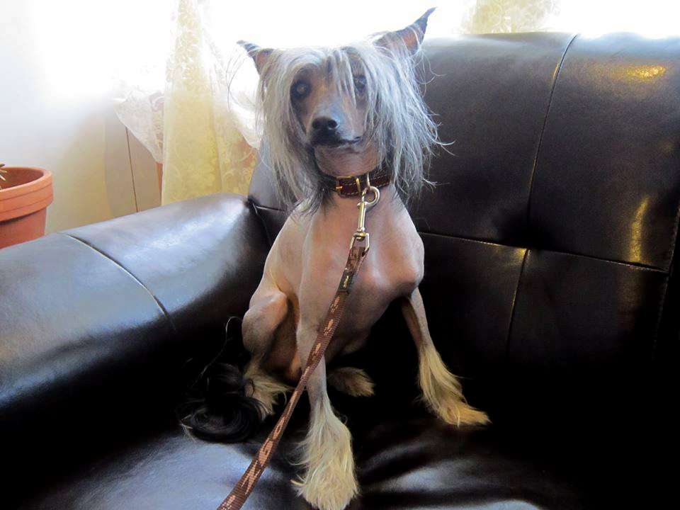 Practical Hero Tom Cruise