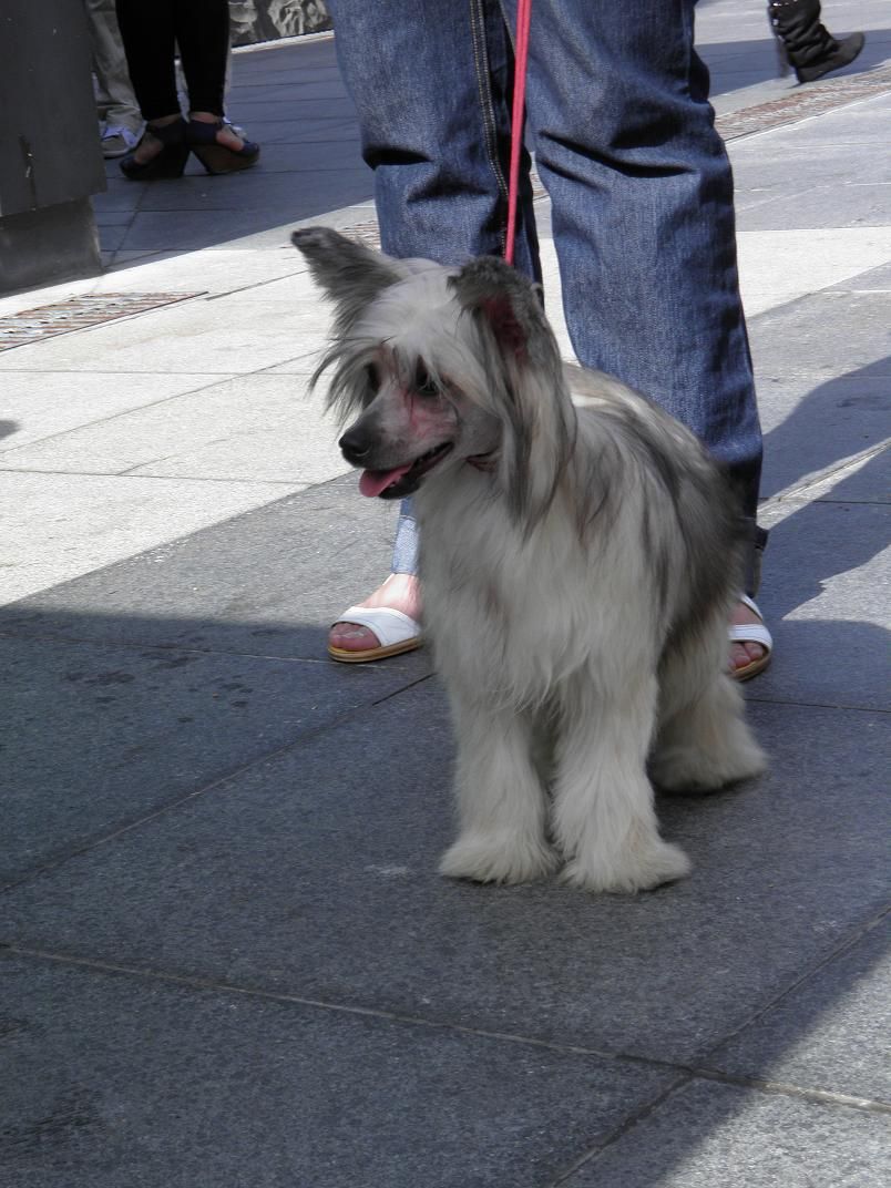 Tizziri Del Templo de los Dioses