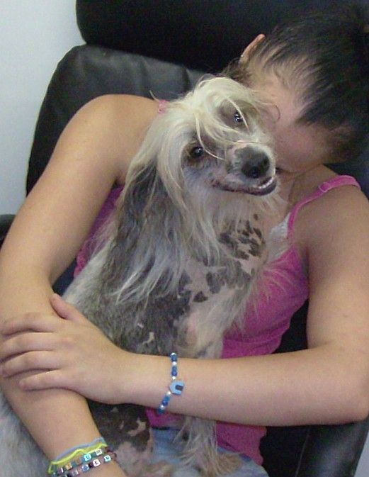 lady stella of crestland