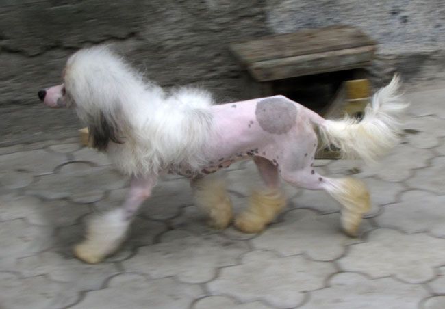 Bi-lav Plus Filadelfiya