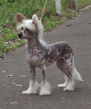 Entourage A Gift Of Gold