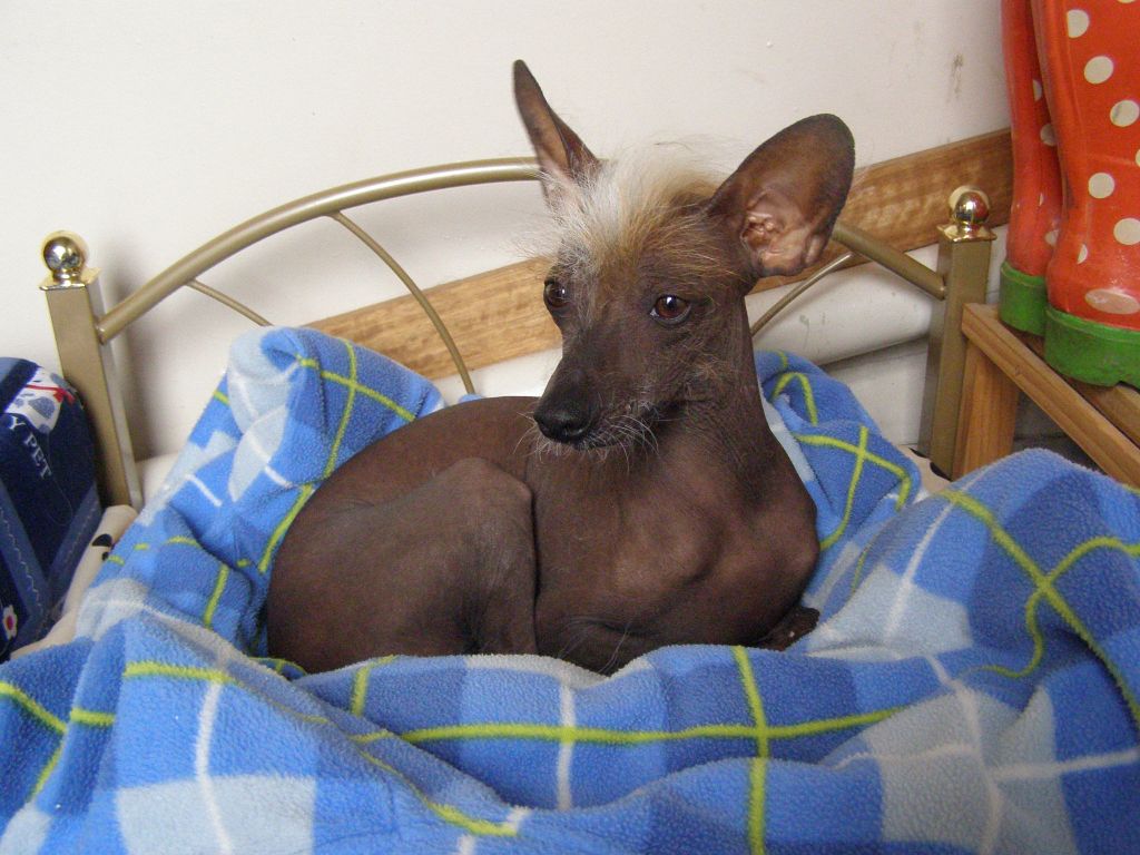 Entourage Manic Mannequin