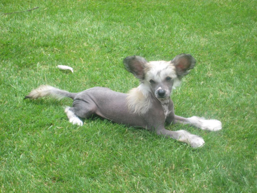 Reznor Playground Twist