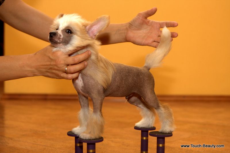 Touch Beauty Assert one self 