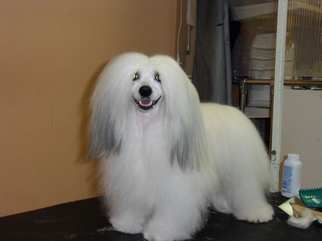 Naimuluna Line Jeneva