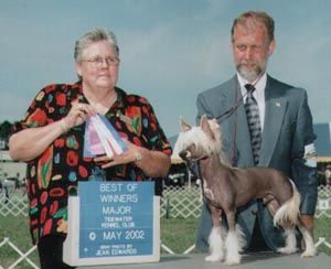 Nauset Everything But Wings