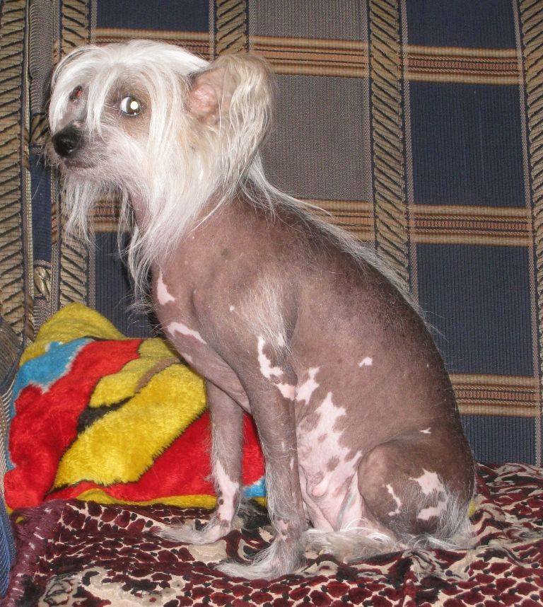 Bur-Mari A'ndi Kessi