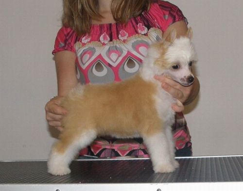 Jackie Kenedy Poarott