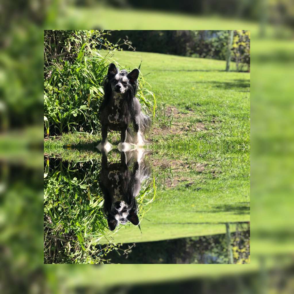 Sun-Hee's Eye of the Tiger