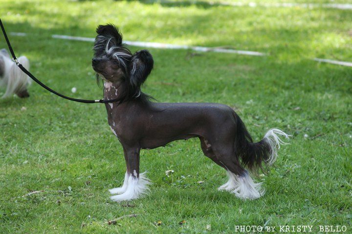 Sun-Hee's Express Myself