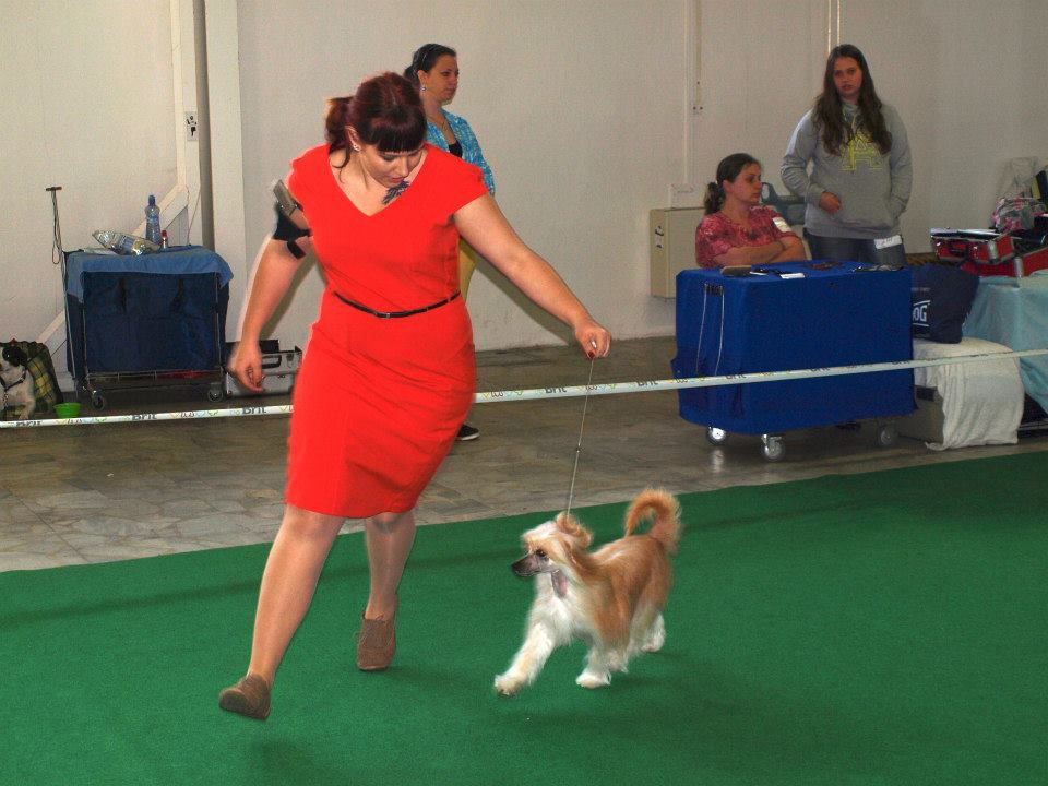 Emily Cechovo kvitko
