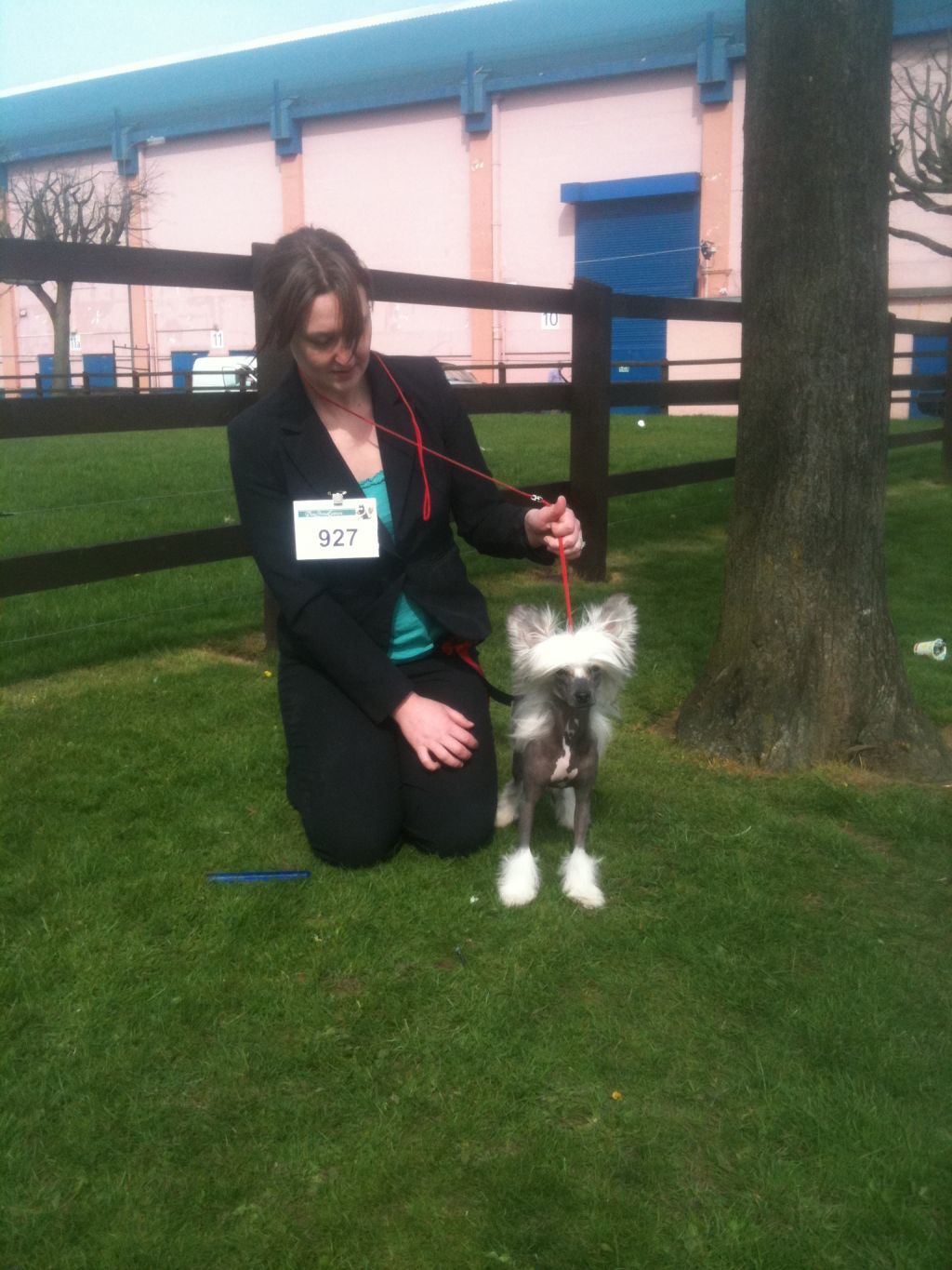 Leibwache Rainbow Dash Of Syingcrest