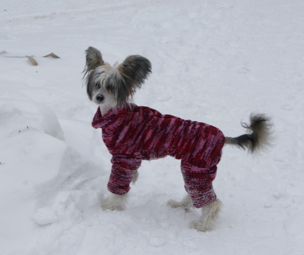 Volshebnaja Loshadka Undina