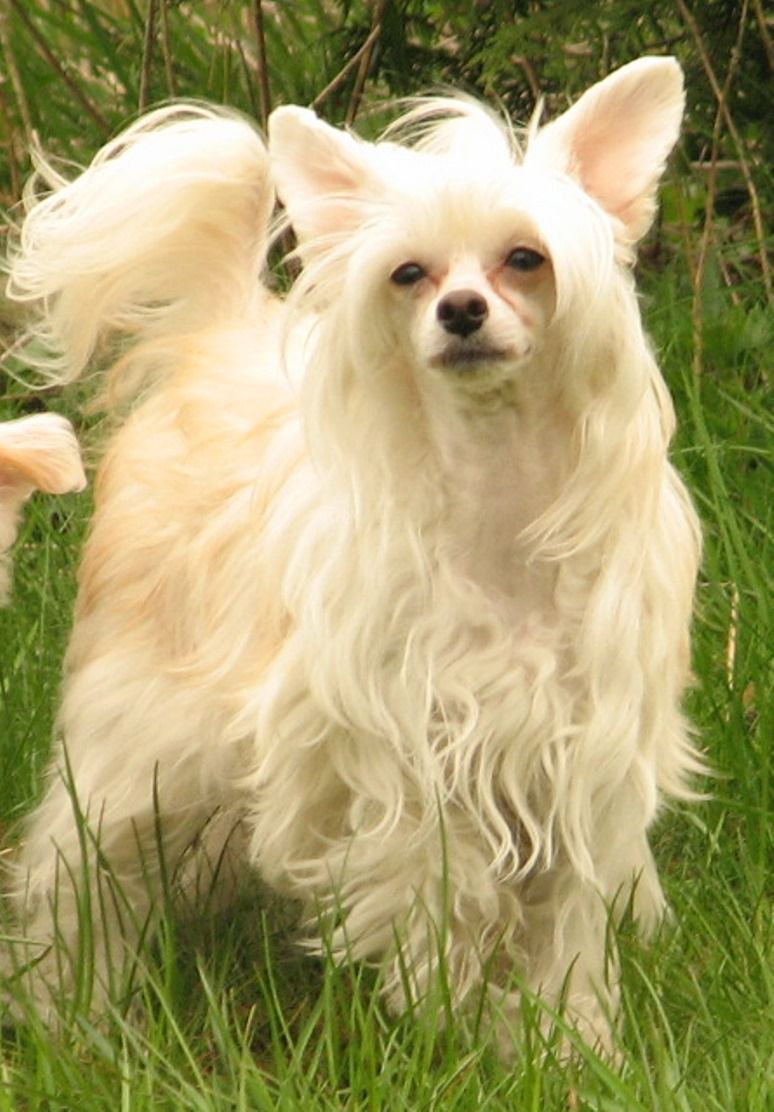 Cool Crowd's Just Jenna Jameson