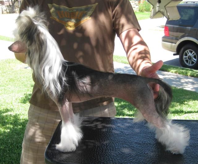 Tacori's Said In Spun Silver