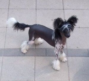 Tailgate's I Wanna Talk About Me