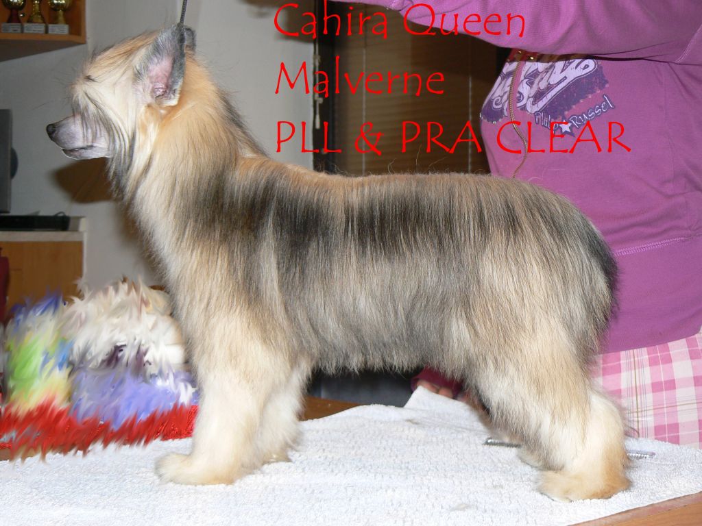 Cahira Queen Malverne