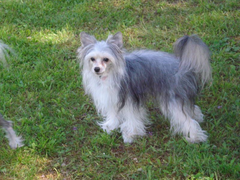 Sophie