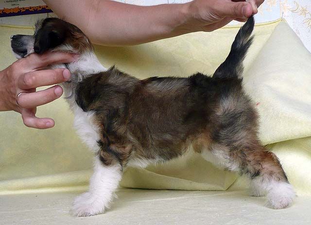 Zabavushka Dusha Moja