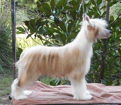 Crest-Vue N Peachcreek Final Conclusion